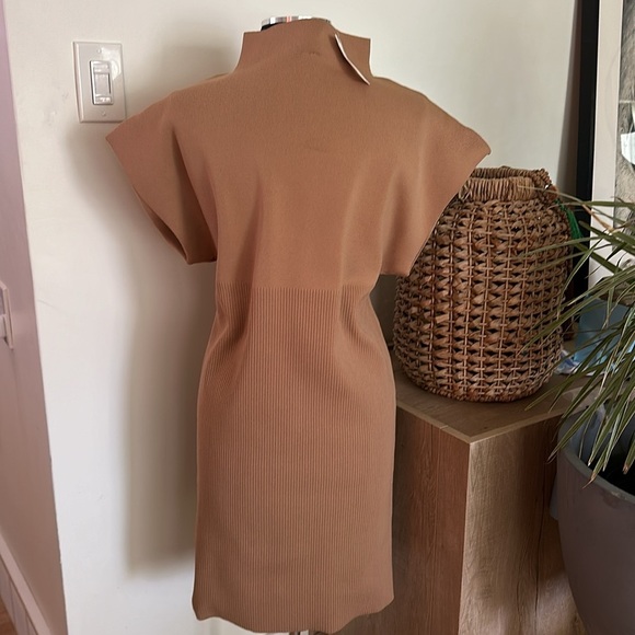 NWT Anthropologie Mock Neck Tan Mini Dress XL - Picture 8 of 16